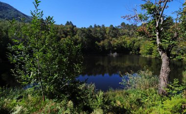 Yalova, Türkiye 'de yer alan Buyuk Dipsiz Gölü, bölgenin korunan bölgelerinden biri..