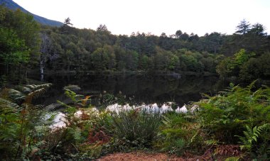 Yalova, Türkiye 'de yer alan Buyuk Dipsiz Gölü, bölgenin korunan bölgelerinden biri..