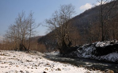 Tesvikiye Town - Yalova - TURKEY