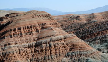 Davutolan Bird Sanctuary National Park - Ankara / TURKEY