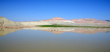 Davutolan Bird Sanctuary National Park - Ankara / TURKEY