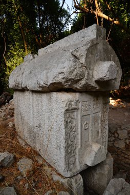 Olimpos Ancient City - Antalya - TURKEY