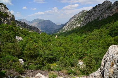 Termessos Ancient City - Antalya - TURKEY