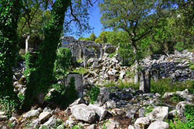 Termessos Ancient City - Antalya - TURKEY