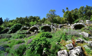Termessos Ancient City - Antalya - TURKEY