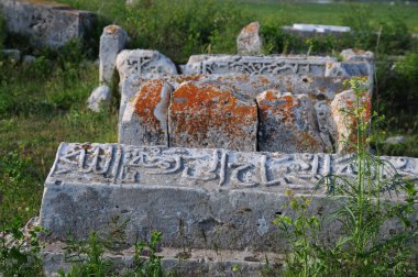The Celebibagi Seljuk Cemetery, located in Van, Turkey, is full of tombs made during the Seljuk period.