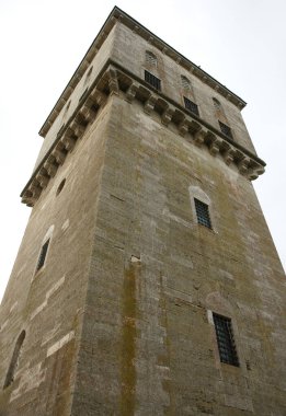 Türkiye 'nin Edirne kentinde yer alan Eski Osmanlı Sarayı 15. yüzyılda inşa edilmiştir. Osmanlı İmparatorluğu 'nun en büyük ikinci sarayıdır. Balkan Şehitliği, Adalet Kulesi, Fatih Köprüsü ve Kum Köşkü gibi bölümler hâlâ ayakta.