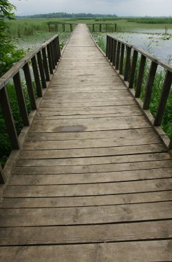 Türkiye 'nin Dzce kentinde yer alan Efteni Gölü, bölgenin önemli bir sazlık gölüdür..