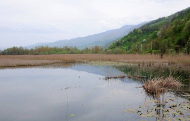 Türkiye 'nin Dzce kentinde yer alan Efteni Gölü, bölgenin önemli bir sazlık gölüdür..
