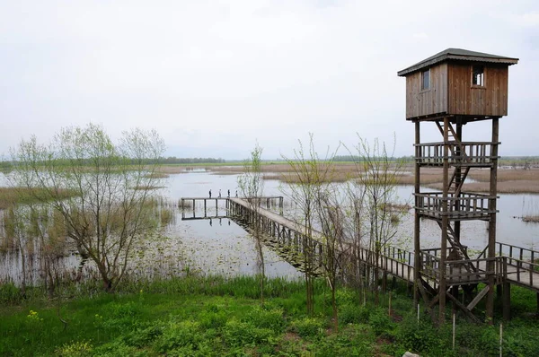Efteni Lake Located Dzce Turkey Important Reed Lake Region — Stock Photo, Image