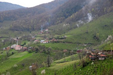 Köy Yaşamı ve Doğa - TURKEY