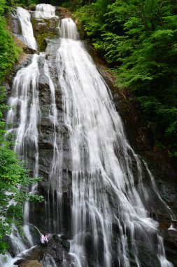 Türkiye 'nin Duzce kentinde yer alan Guzeldere Şelalesi, ülkenin en yüksek şelalelerinden biri..