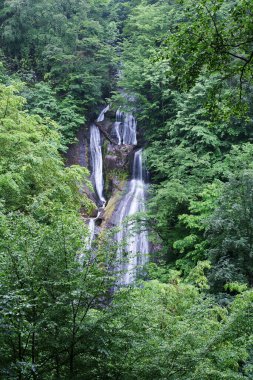 Türkiye 'nin Duzce kentinde yer alan Guzeldere Şelalesi, ülkenin en yüksek şelalelerinden biri..