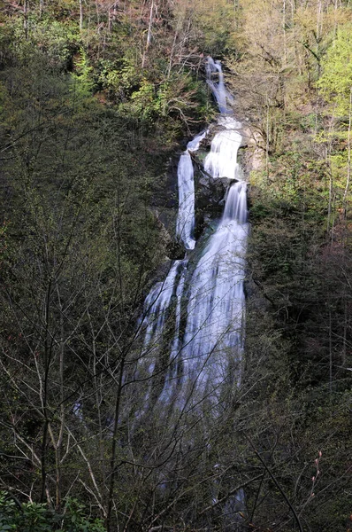 Guzeldere Waterval Gelegen Duzce Turkije Een Van Hoogste Watervallen Het — Stockfoto