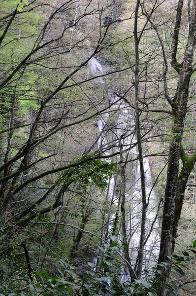 Cachoeira Guzeldere Localizada Duzce Turquia Uma Das Cachoeiras Mais Altas — Fotografia de Stock