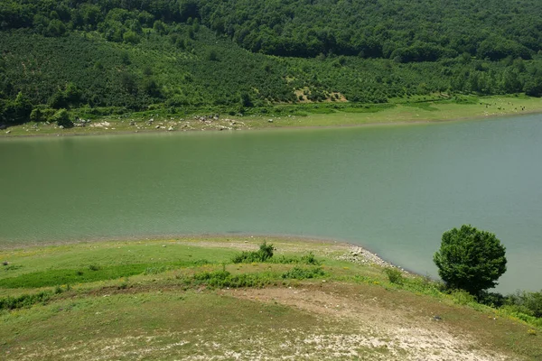 Hasanlar Baraj Gölü Duzce Turkey — Stok fotoğraf