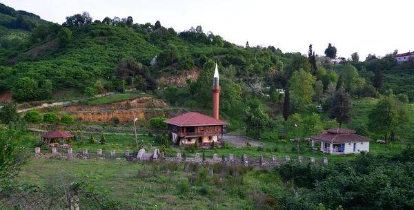Meczet Hemsin Został Zbudowany 1877 Roku Duzcach Turcji Drewnianą Architekturę — Zdjęcie stockowe