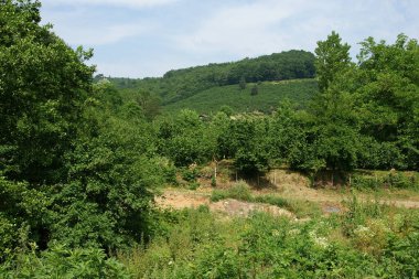 Türkiye 'nin Duzce kentinde yer alan Konuralp ilçesi antik bir yerleşim birimidir..