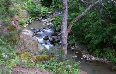 Doğa ve Yaşam - TURKEY