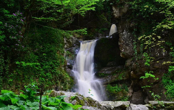 Saryayla Waterfall Located City Duzce Turkey One Important Waterfalls City — Stock Photo, Image