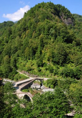 Türkiye 'nin Artvin kentinde yer alan Çifte Köprü 18. yüzyılda inşa edilmiştir..