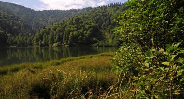 Türkiye 'nin Artvin kentinde yer alan Borcka Kara Gölü, bölgenin önemli bir turizm merkezi..