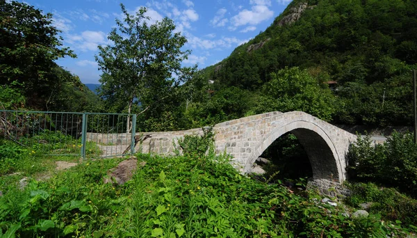 Historyczny Most Aralik Położony Artvin Turcja Został Zbudowany Wieku — Zdjęcie stockowe