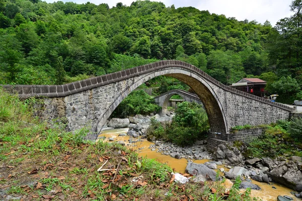 这座双桥坐落在土耳其的阿尔特文市 建于18世纪 — 图库照片