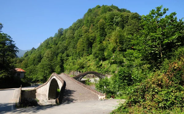Situado Ciudad Artvin Turquía Puente Doble Fue Construido Siglo Xviii — Foto de Stock