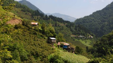 Camili - Borcka - Artvin - TURKEY