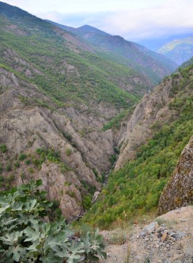 Hatila Vadisi - Artvin - TURKEY