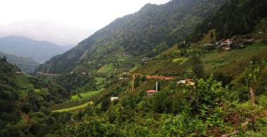 Maral Şelalesi - Artvin - TURKEY