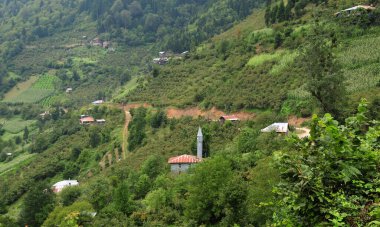 Maral Şelalesi - Artvin - TURKEY