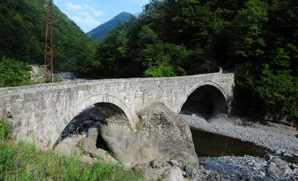 Történelmi Duzkoy Híd Artvin Turkey — Stock Fotó
