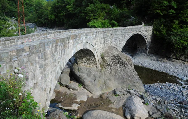 Puente Histórico Duzkoy Artvin Turquía —  Fotos de Stock