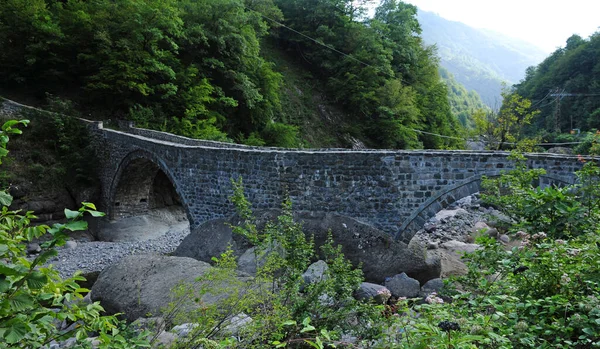 历史上的Duzkoy桥 Artvin Turkey — 图库照片