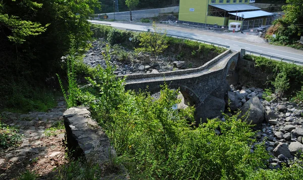 Historical Duzkoy Bridge Artvin Turkey — Stock Photo, Image