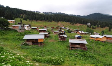 Sahra Platosu - Artvin - TURKEY