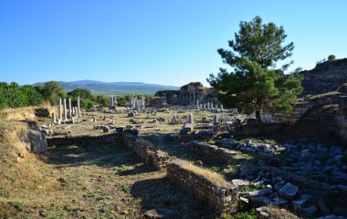 Afrodisias Antik Şehir - Aydın - TURKEY
