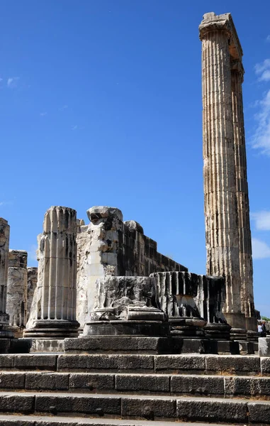 Didim Apollon Tempel Aydin Türkei — Stockfoto