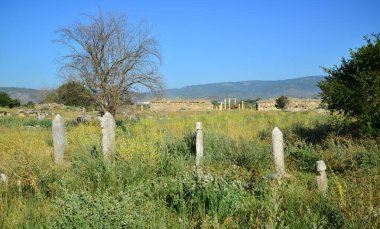 Magnesia Antik Kenti - Aydın - TURKEY