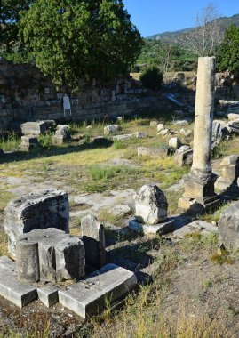 Magnesia Antik Kenti - Aydın - TURKEY