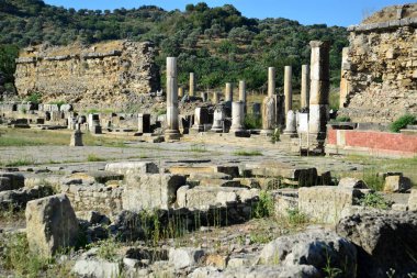 Magnesia Antik Kenti - Aydın - TURKEY