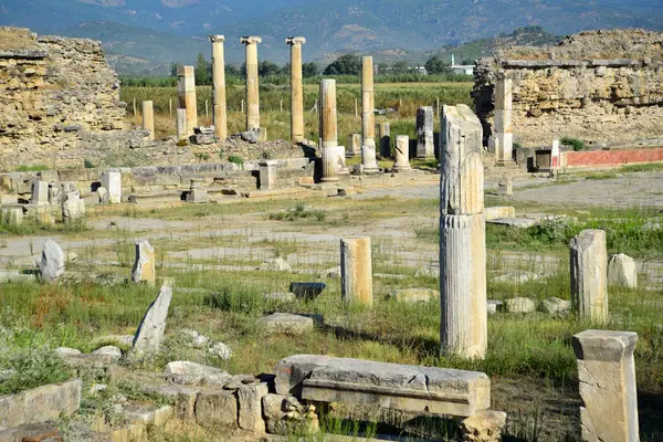 Magnesia Ancient City Aydin Turkey — Stock fotografie