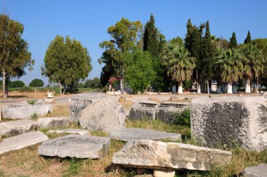 Miletos Antik Şehir - Aydın - TURKEY