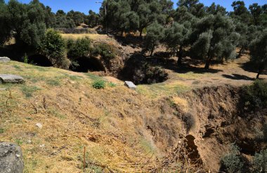 Nysa Antik Kenti, Türkiye 'nin Aydın kentinde turistler tarafından ziyaret edilen antik bir yerleşim yeri..