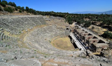 Nysa Antik Kenti, Türkiye 'nin Aydın kentinde turistler tarafından ziyaret edilen antik bir yerleşim yeri..