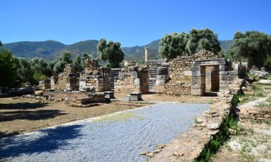 Nysa Antik Kenti, Türkiye 'nin Aydın kentinde turistler tarafından ziyaret edilen antik bir yerleşim yeri..