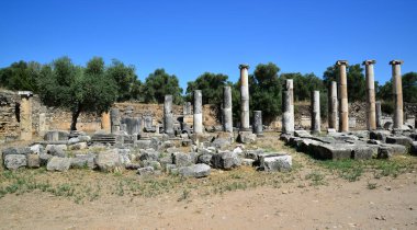 Nysa Antik Kenti, Türkiye 'nin Aydın kentinde turistler tarafından ziyaret edilen antik bir yerleşim yeri..