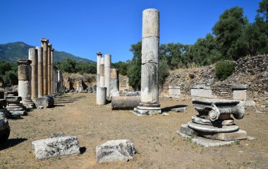 Nysa Antik Kenti, Türkiye 'nin Aydın kentinde turistler tarafından ziyaret edilen antik bir yerleşim yeri..